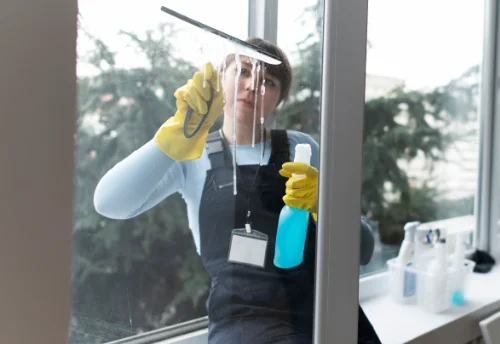Nettoyage de vitres intérieures et extérieures à Présailles